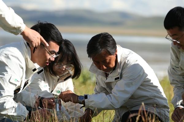 科技成果转化新质生产力 内蒙古农大团队利用新技术“慧眼识菌”