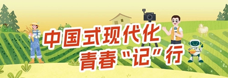 黄土路刨成致富路 晋西小县探索大产业 "青"力量拉动石楼"韧"性发展