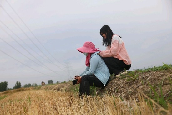 陪你慢慢变好 继续上学?先跟着父母当回"麦客"